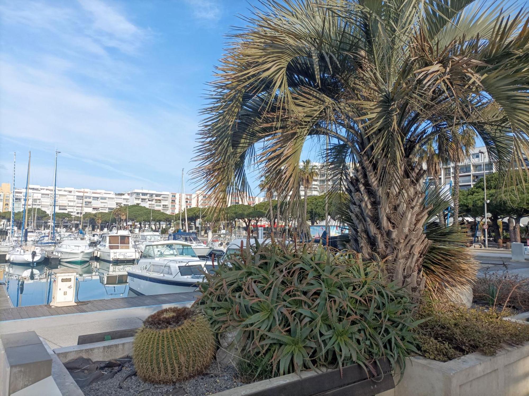 Studio Port De Plaisance Mauguio Exterior foto